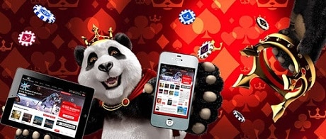 Royal panda on mobile and tablet