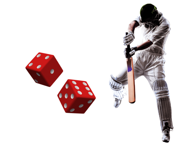 A cricket batter hitting a pair of dice