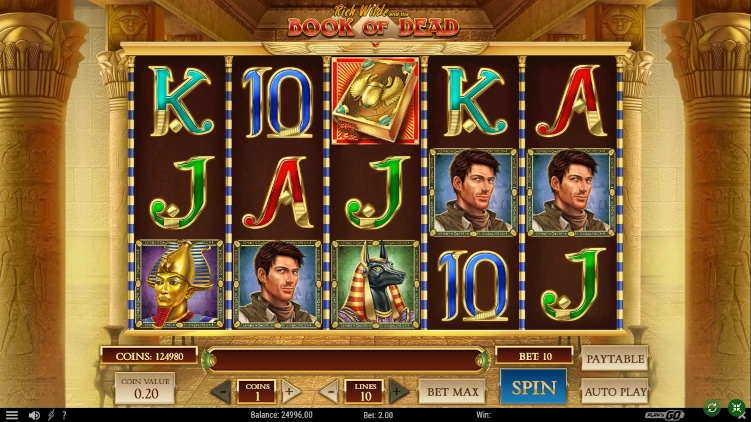 Book of dead slot game interface